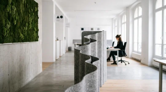 Bureau français lumineux et épuré où des éléments naturels absorbent visuellement le bruit ambiant